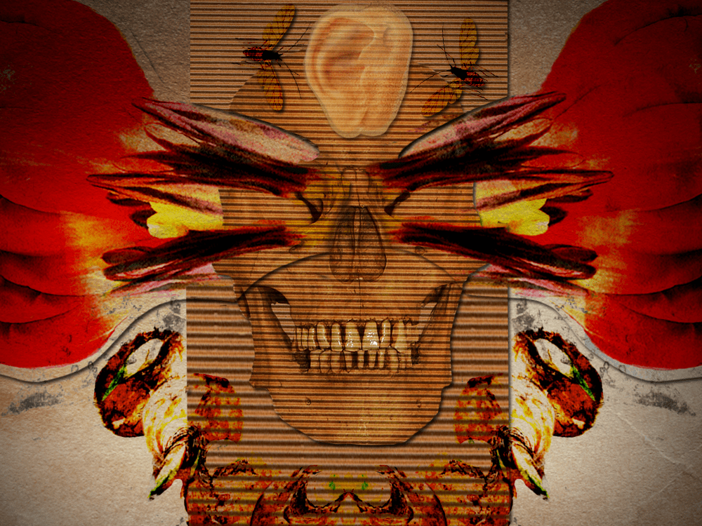 30 Amsterdam and Brussels